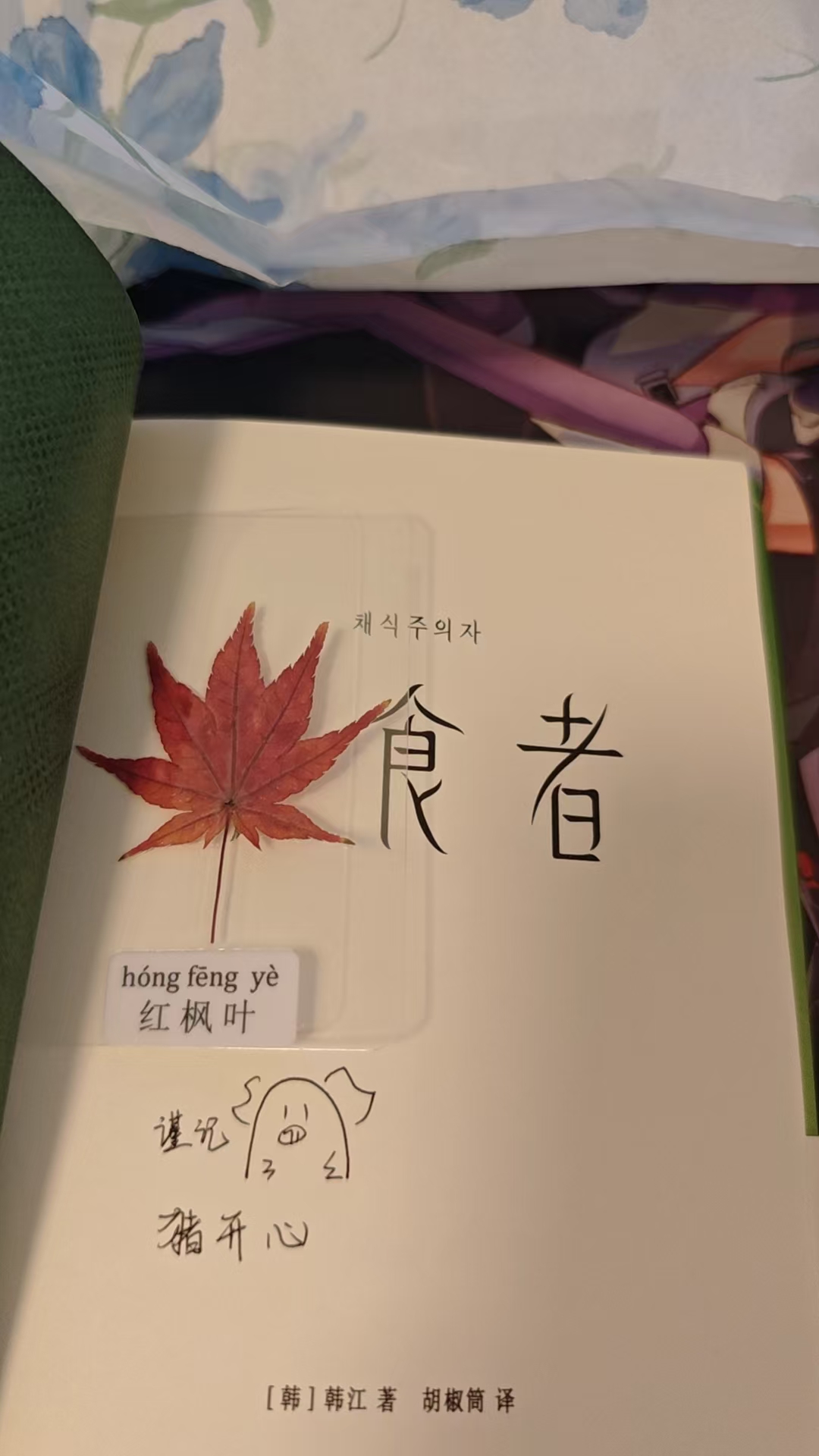 《素食者》扉页与透明卡片中的红枫叶实物
